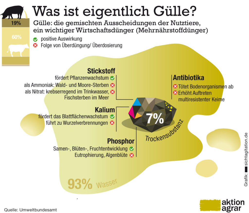 Bestandteile_Gülle