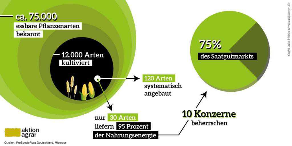 kampf_den_giganten_infografik_kulturpflanzen-vielfalt_final