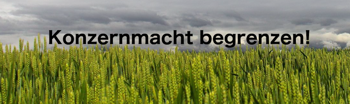 Streitschrift_header