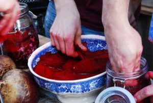rotebetefermentation rotebetefermentation