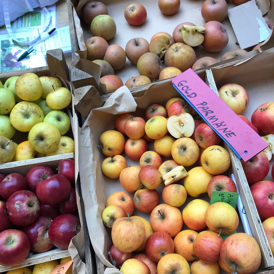 SupermarktChallenge Apfelverkauf 03