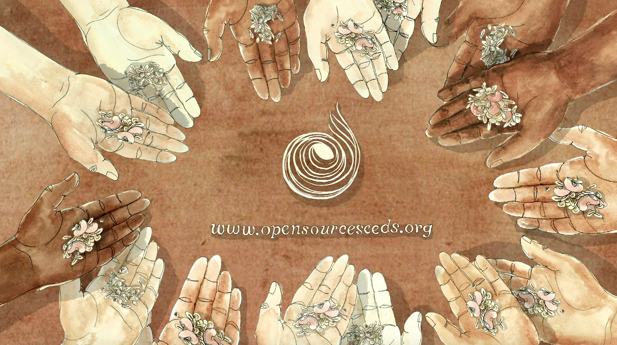 opensourceseeds-org opensourceseeds-org