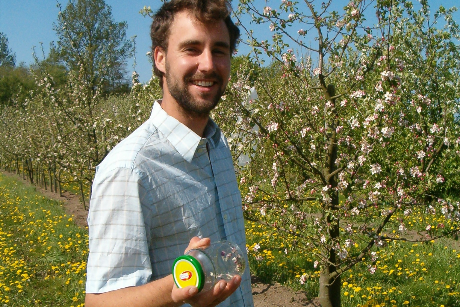 Blüten 057
