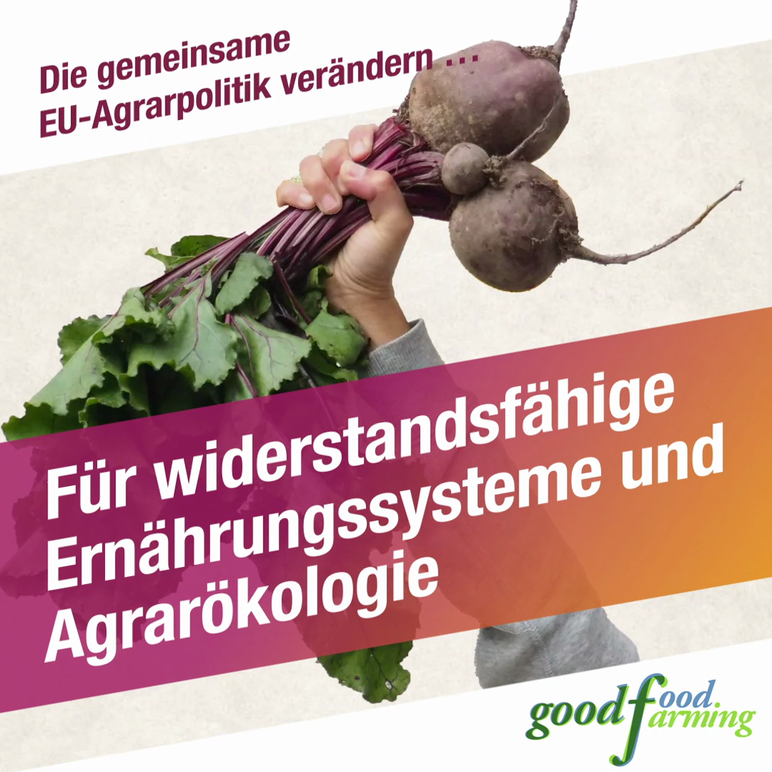 Für widerstandsfähige Ernährungssysteme und Agrarökologie Für widerstandsfähige Ernährungssysteme und Agrarökologie
