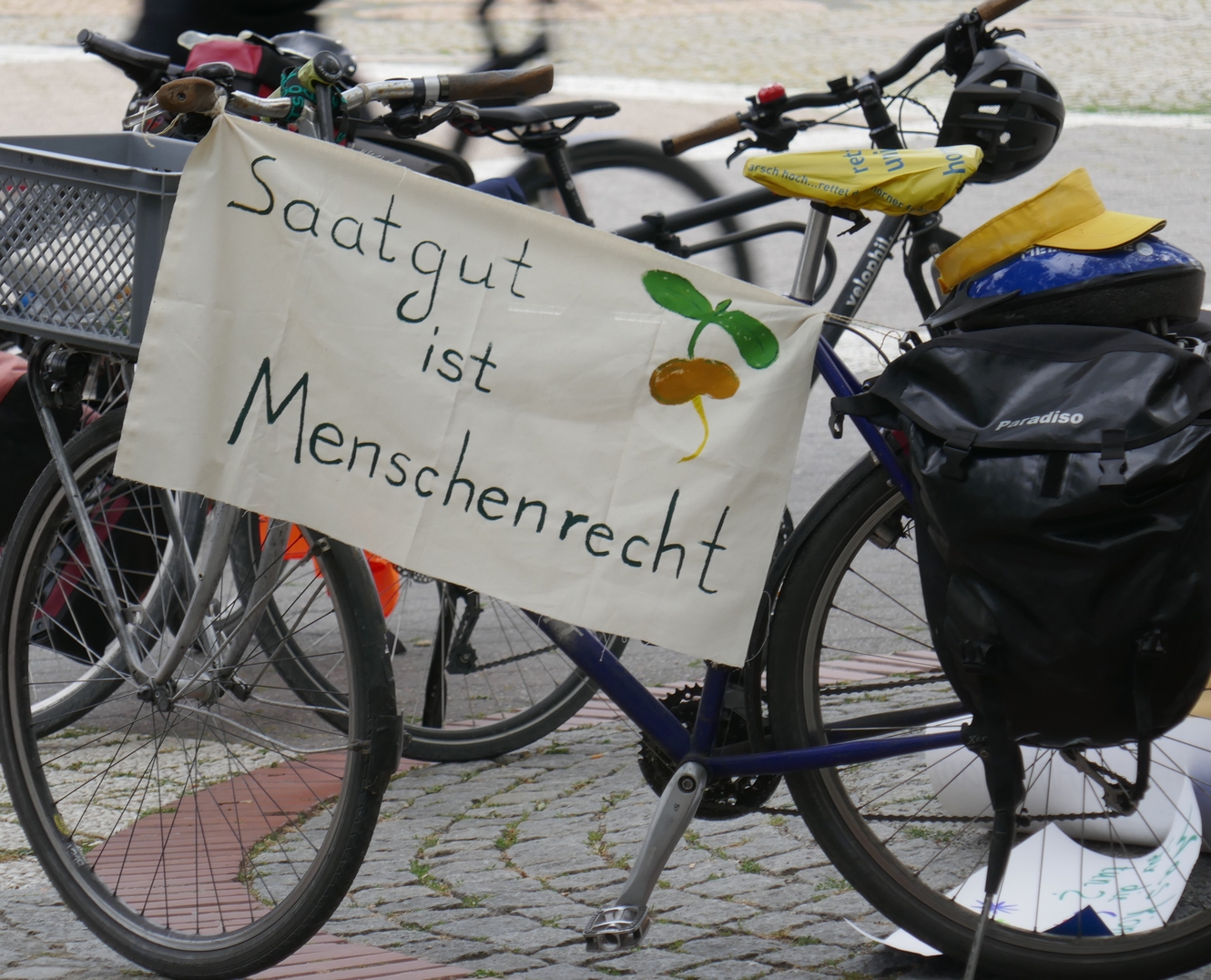 RadFoto RadFoto