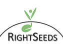 Logo_RightSeeds_frei-Kopie_invers-Kopie Logo_RightSeeds_frei-Kopie_invers-Kopie