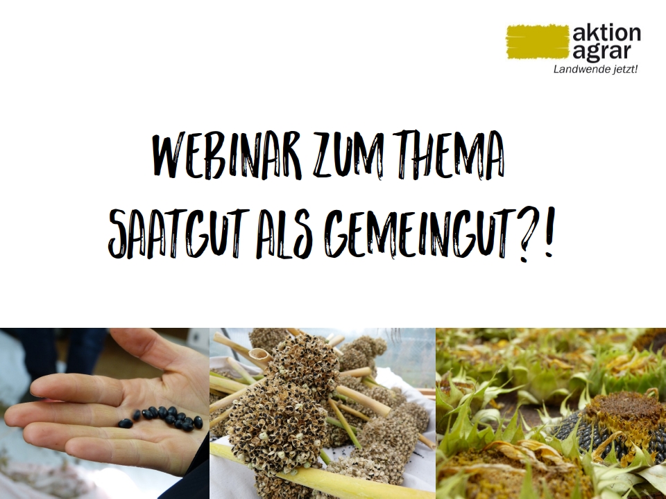 Webinar Saatgut als Gemeingut Webinar Saatgut als Gemeingut
