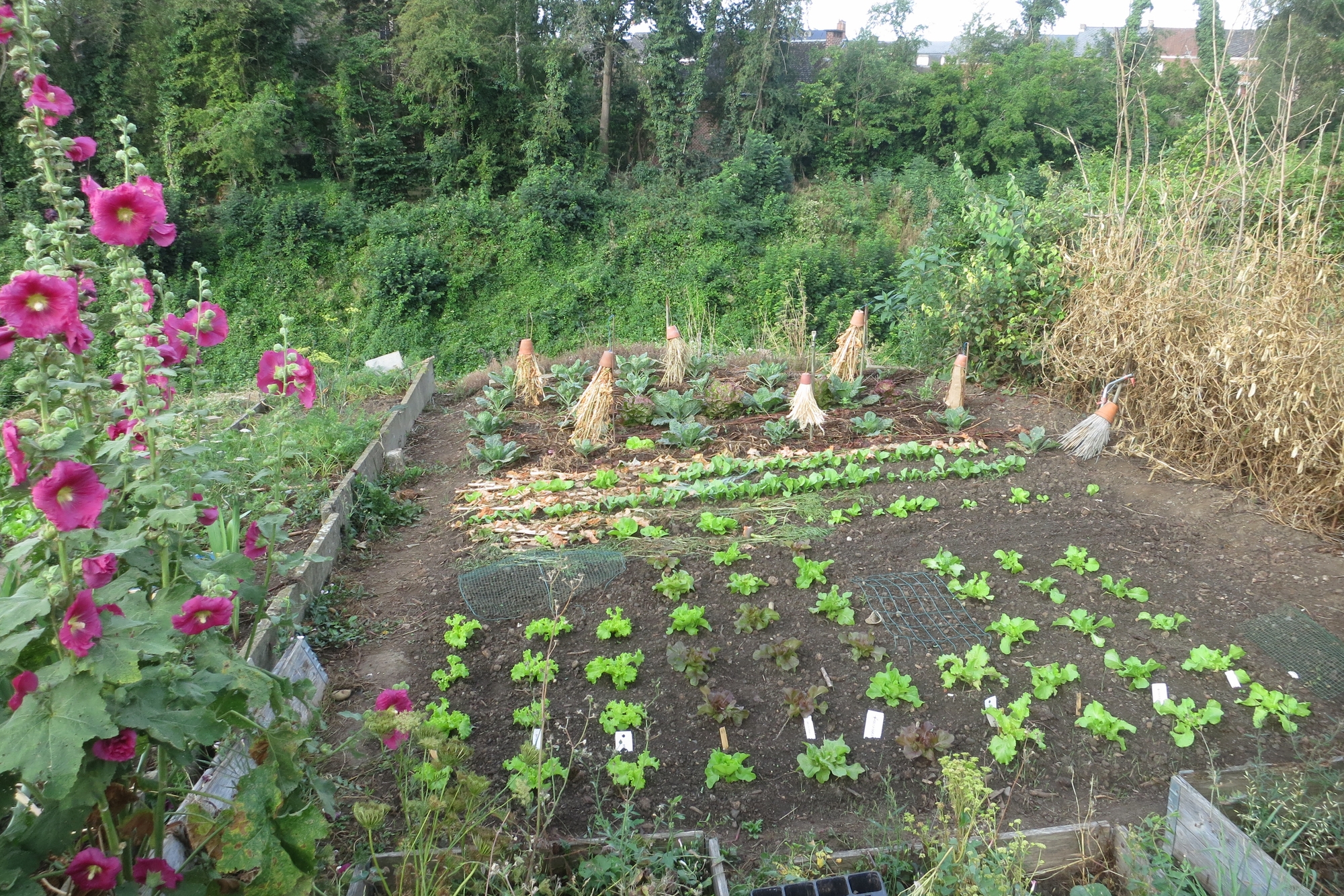 Mit vereinten Gärten - Teilnehmergarten Hobbygärtner aus Belgien