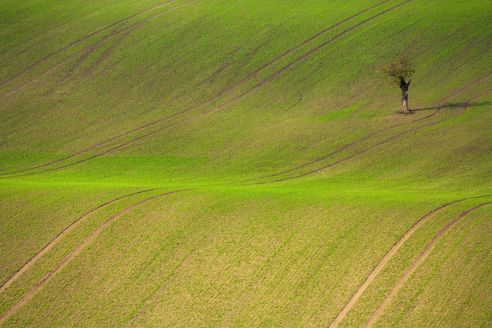 dawid-zawila-jD9jplZmEoU-unsplash dawid-zawila-jD9jplZmEoU-unsplash