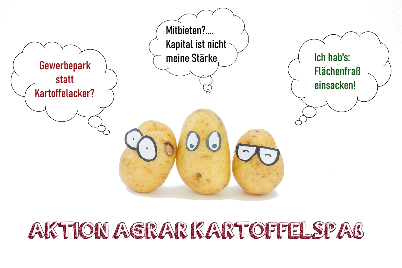 Kartoffelbild-weiss