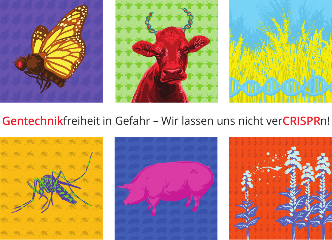 gentechnik-postkarte gentechnik-postkarte