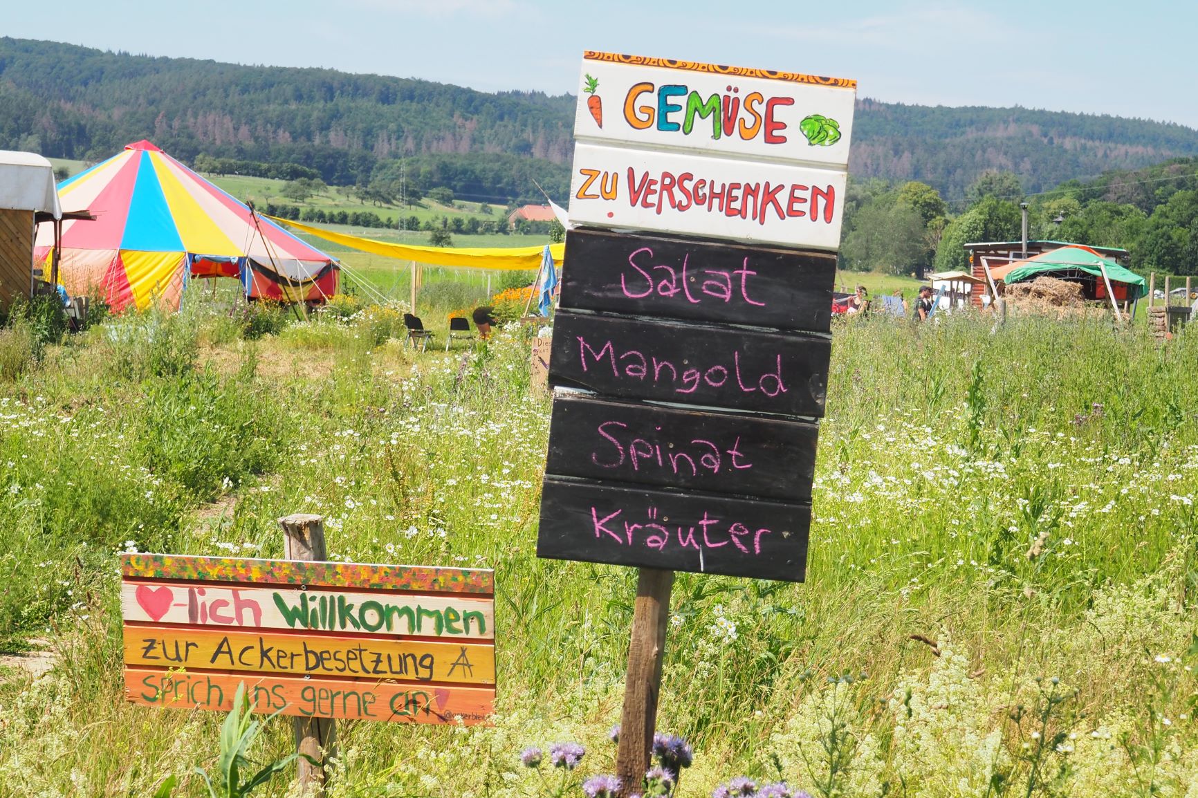 Ackerbesetzung_P6270560 Ackerbesetzung_P6270560