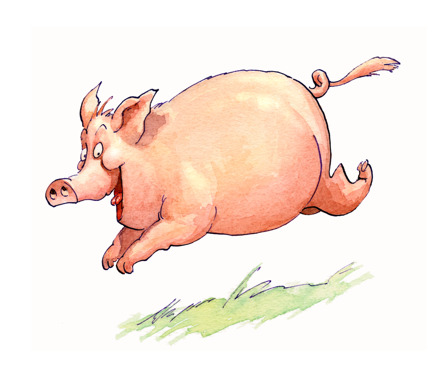 aktion-agrar-rennschwein aktion-agrar-rennschwein
