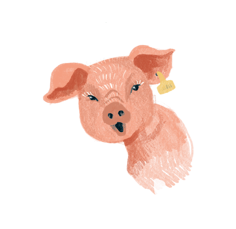 Aktion-Agrar-2022-Titel_schwein_fuersocialmedia Aktion-Agrar-2022-Titel_schwein_fuersocialmedia