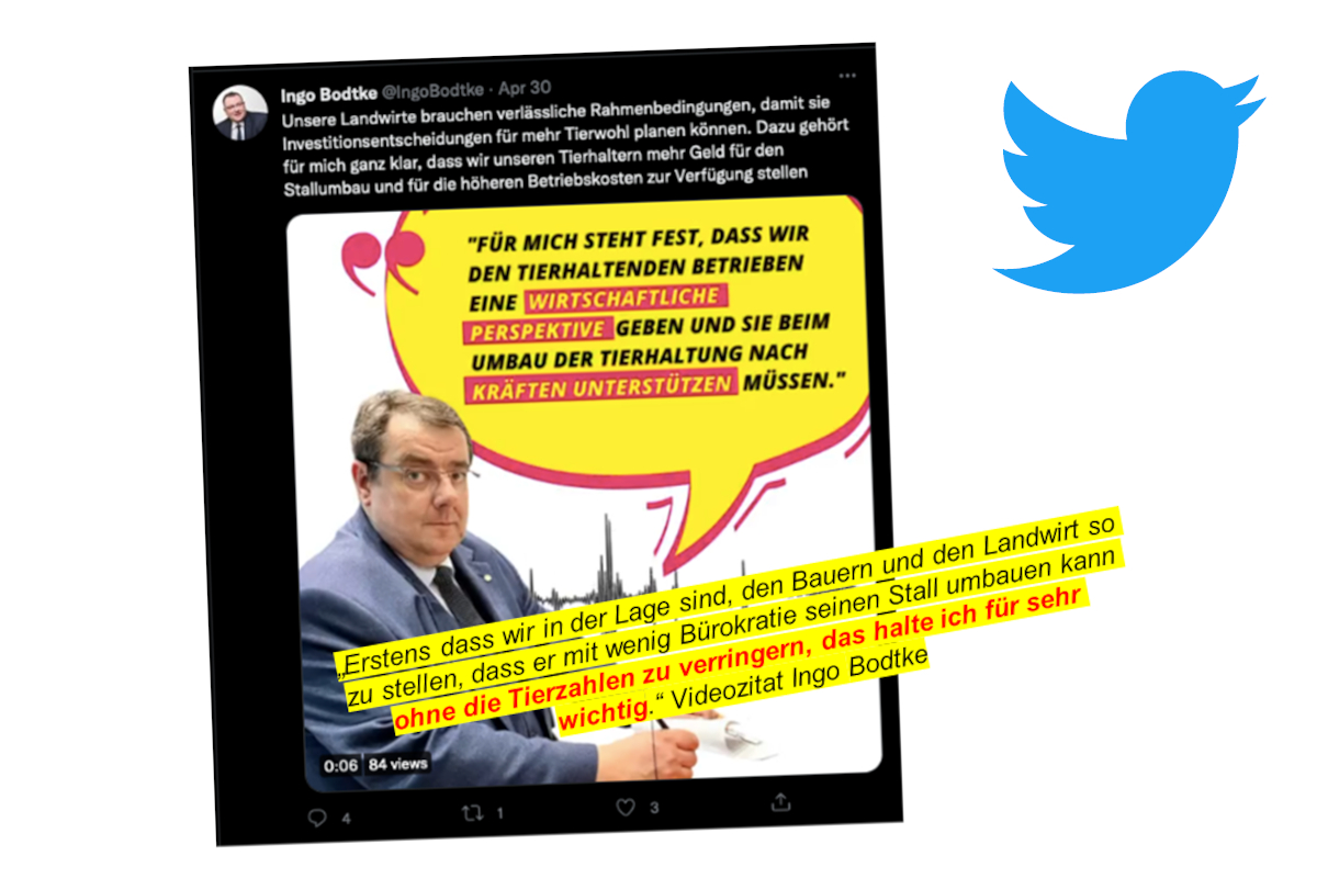 bodtke-twitter-1