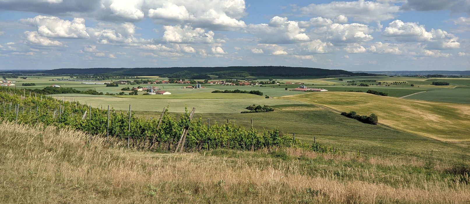 Hof-mit-Zukunft - Blick auf Landschaft