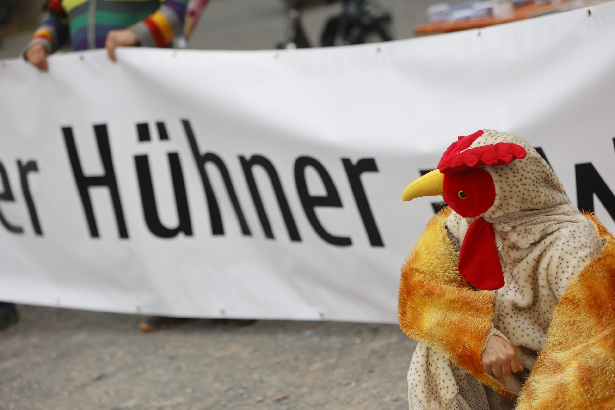 Banner zu Hühner-Haltung und Huhnkostüm