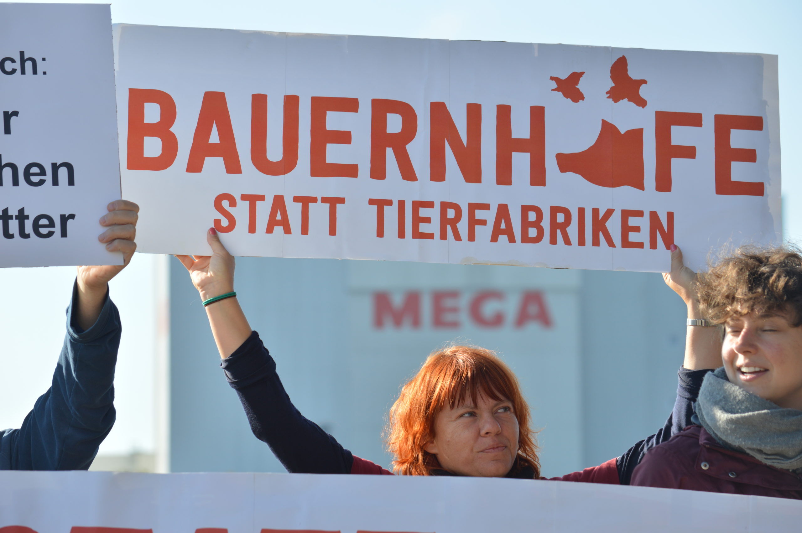 Protest Mega 2