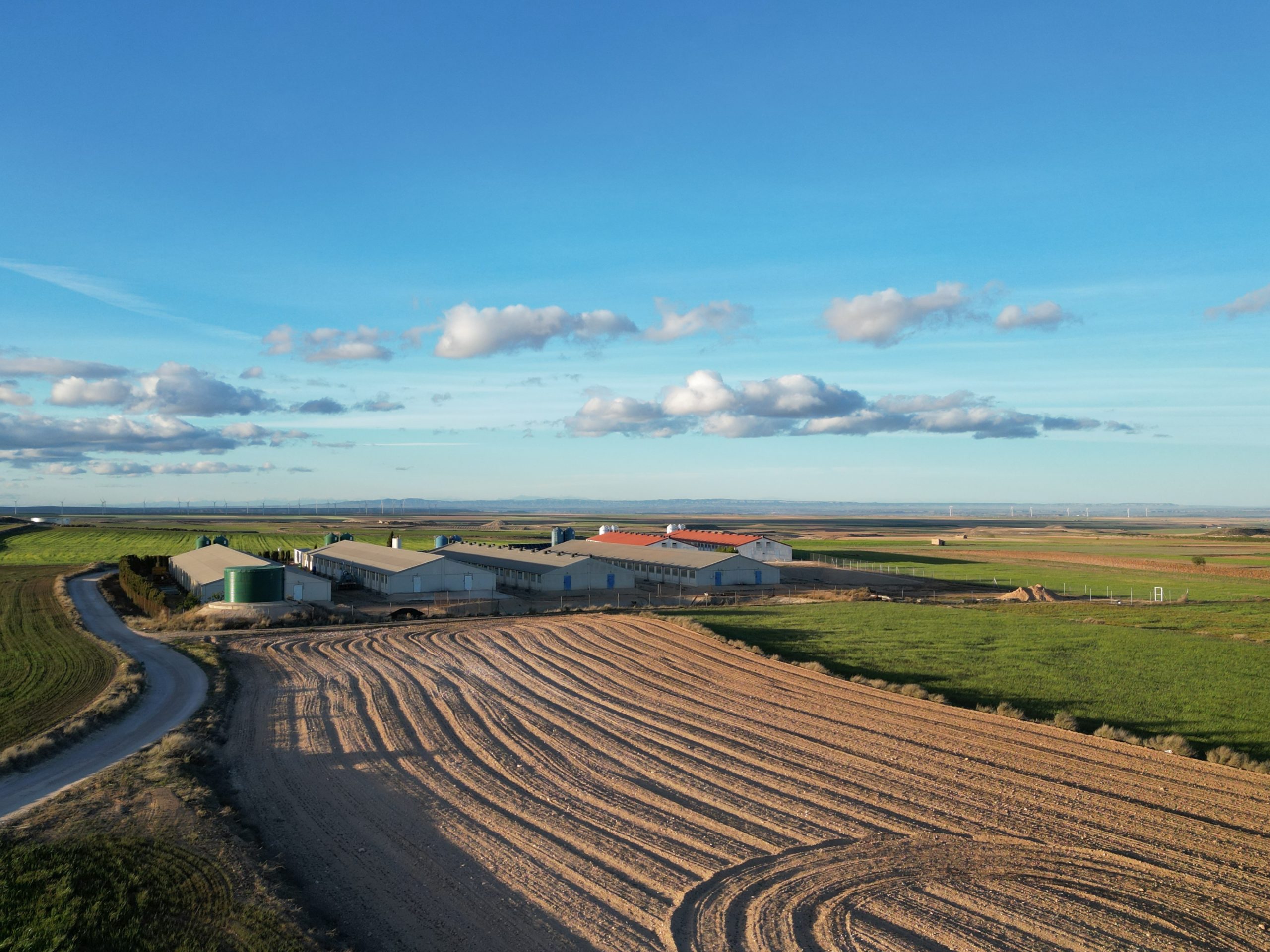 Industrielle Tierhaltung in Spanien