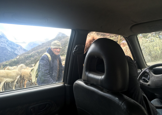 Unterwegs grüßt Zacarías zwei Bekannte, deren Schafe die Straße blockieren – sie sind mit 80 Jahren immer noch als Hirt:innen aktiv.