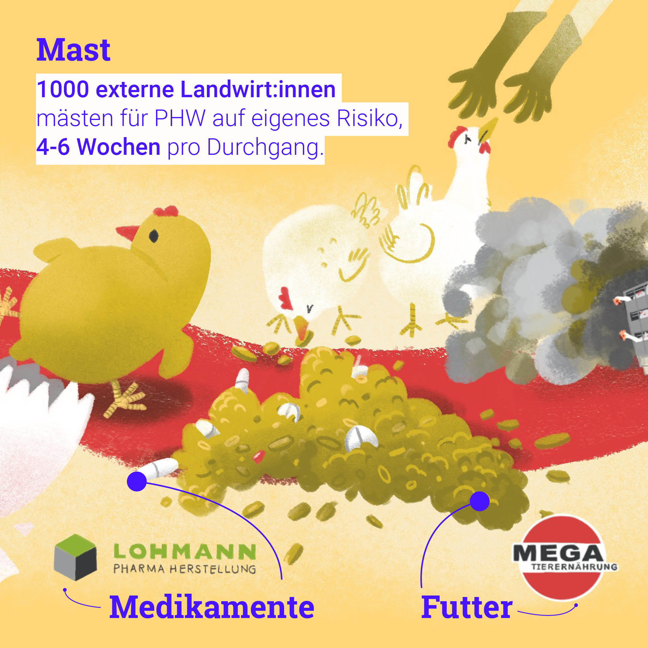 PHW Hühnerhaltung Mast Infografik