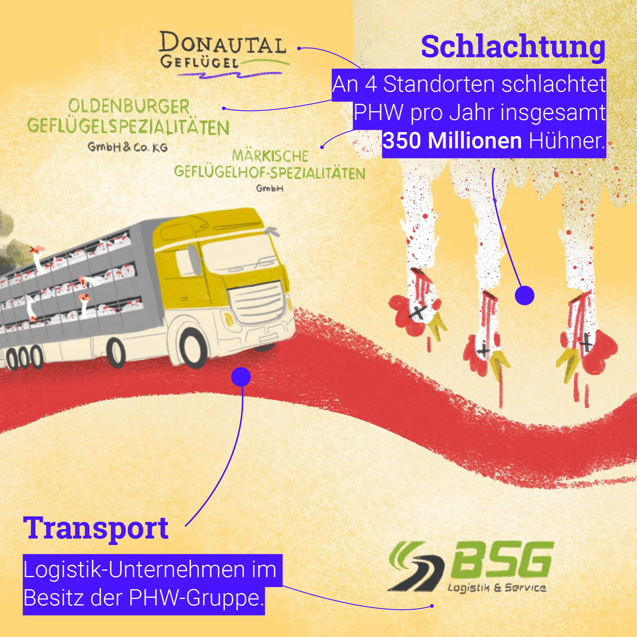 PHW Hühnerhaltung Schlachtung Infografik