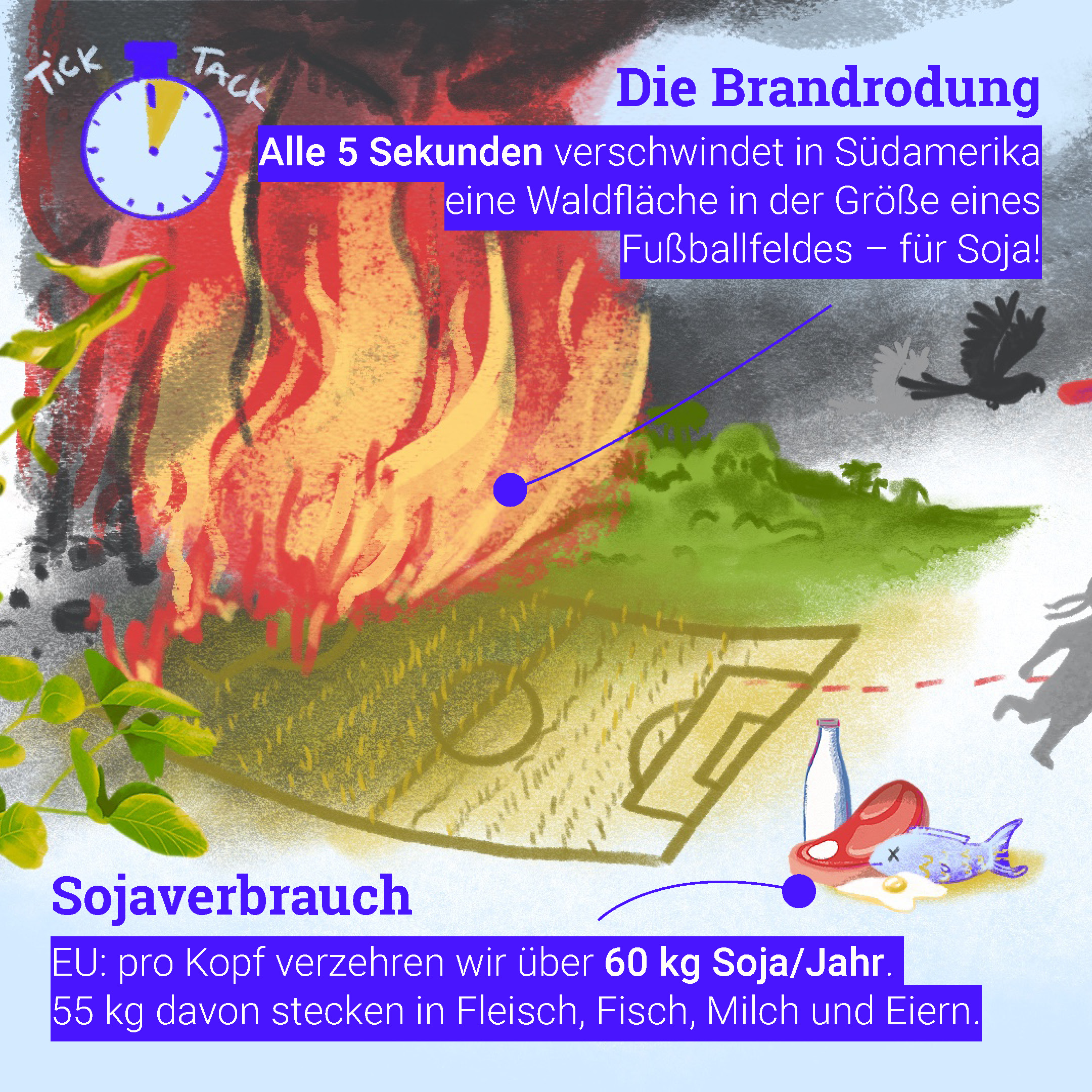 Infografiken-Sojabohne Brandrodung