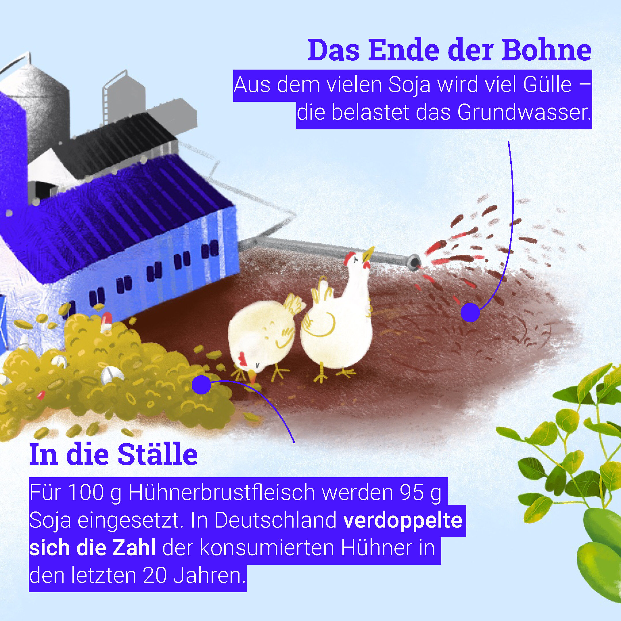 Infografiken-Sojabohne Hühnerstall