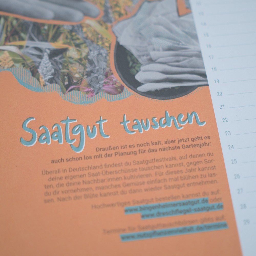 Kalender der Alternativen: Saatgut tauschen