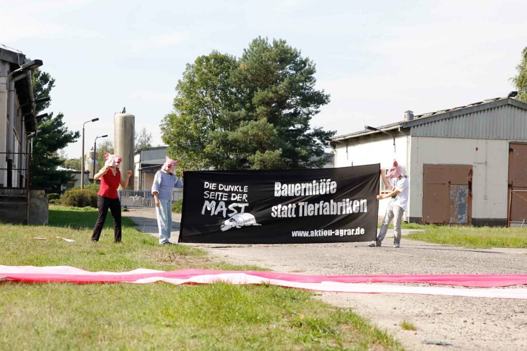 Aktion von Agrar in Drebkau anlässlich von "MahlZeit gegen Tierfabriken" am 13.09.2015