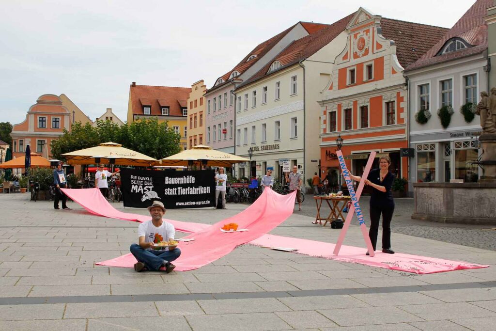 Aktion in der Cottbusser Innenstadt mit tierfabrikfreien Snacks, dem pinken Kreuz gegen Tierfabriken und unserem neuen Straathof-Flyer! 