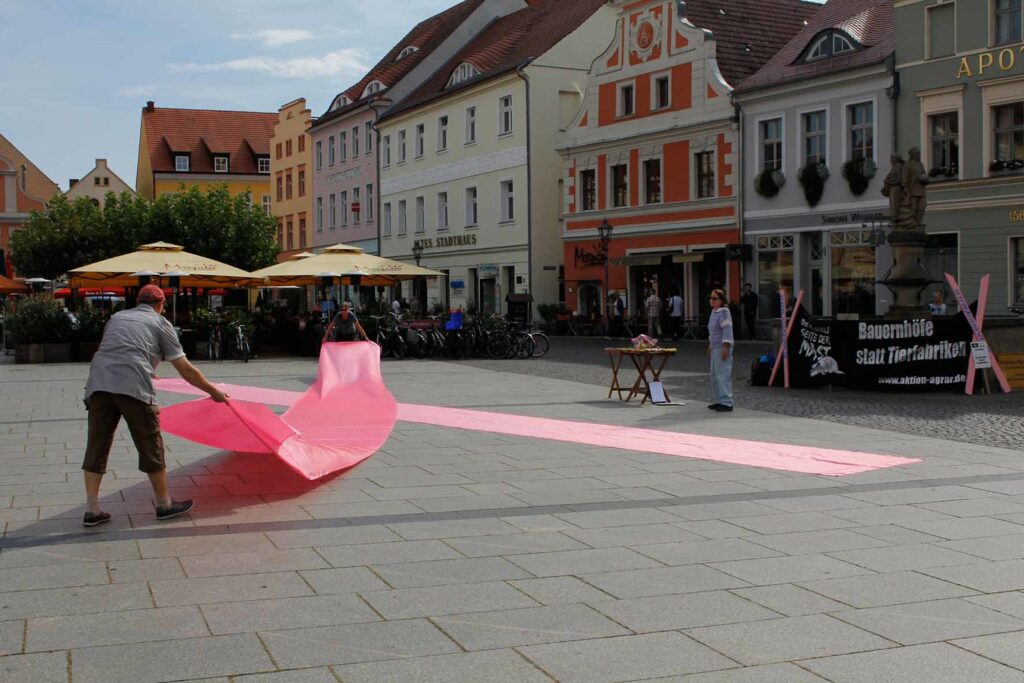 Aktion in der Cottbusser Innenstadt mit tierfabrikfreien Snacks, dem pinken Kreuz gegen Tierfabriken und unserem neuen Straathof-Flyer!