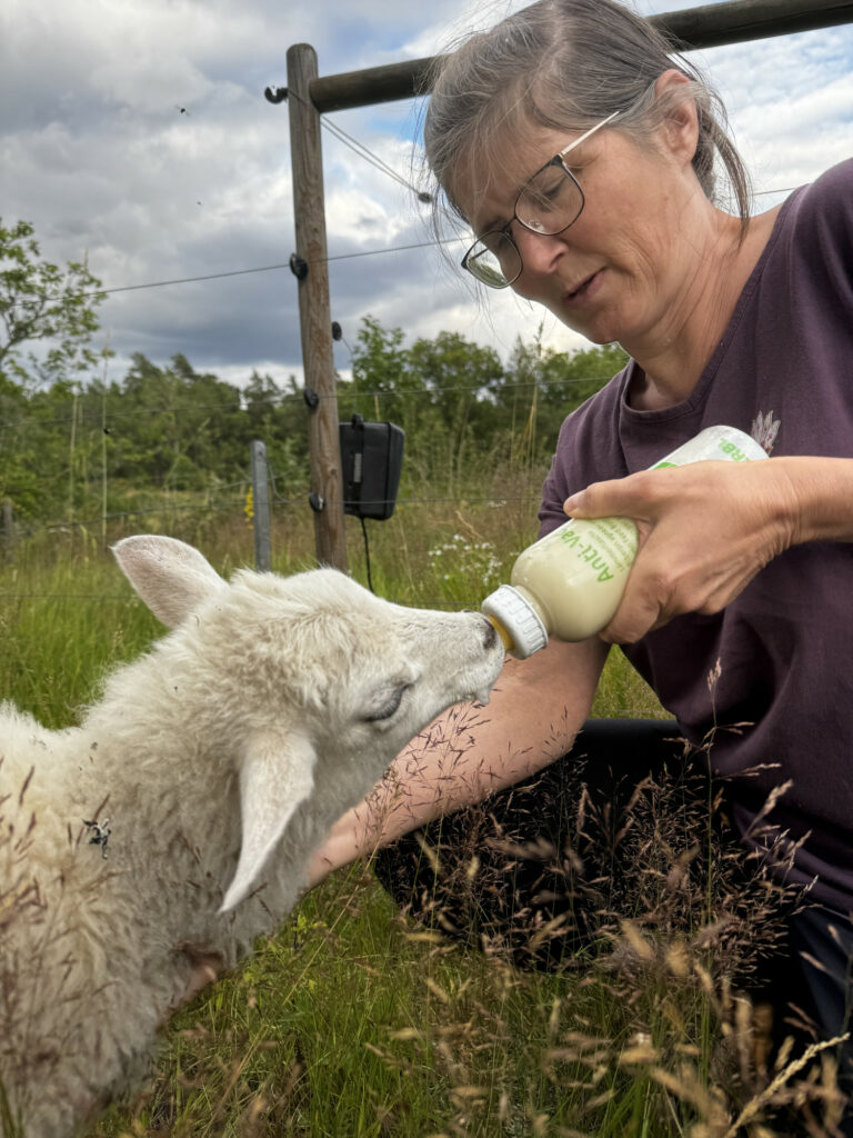 Jutta und das Flaschenlamm Lilly