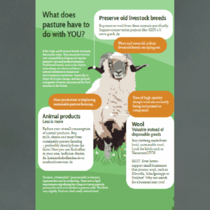 Preview page of the leaflet's content