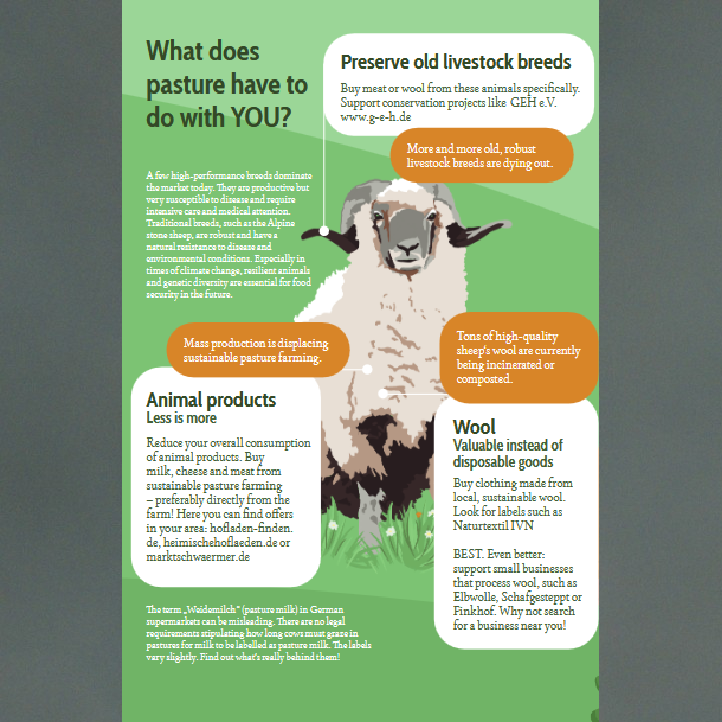 Preview page of the leaflet