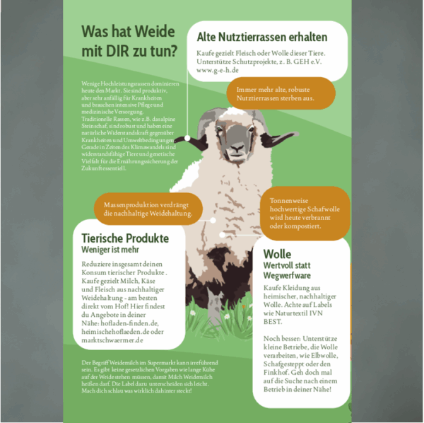 Zukunft braucht Weide! Faltblatt Inhalt