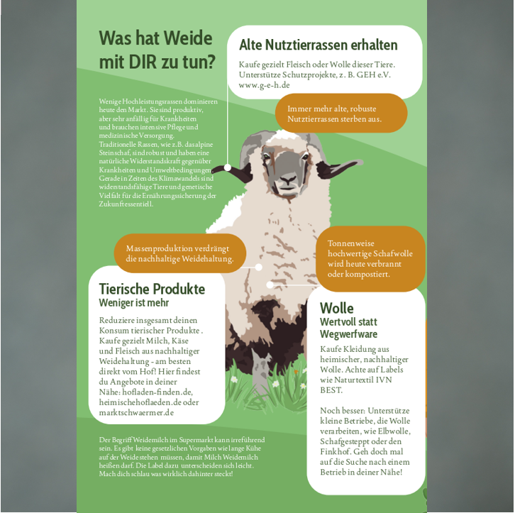 Zukunft braucht Weide! Faltblatt Inhalt