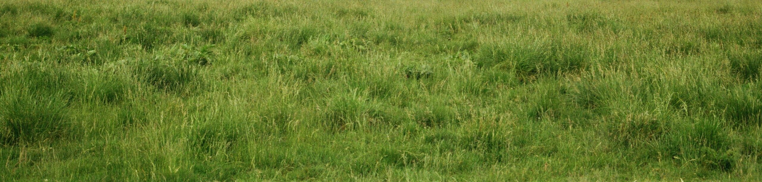 Crowdfunding für das Aktionsheft 2026