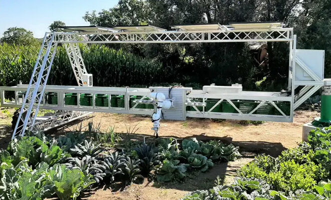 Der DAVEGI-Gemüseanbauroboter an seinem Schwenkarm über Gemüse