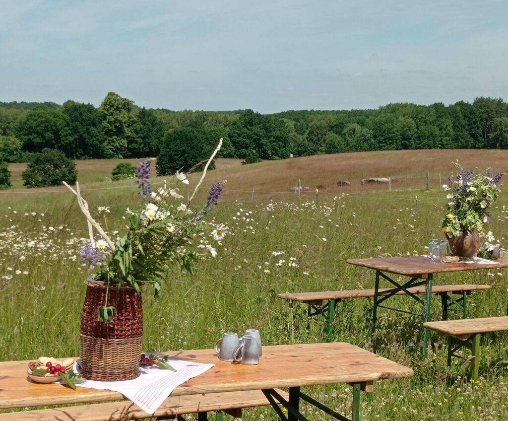 Mittags-Picknick im Weideparadies, Hof Rosin